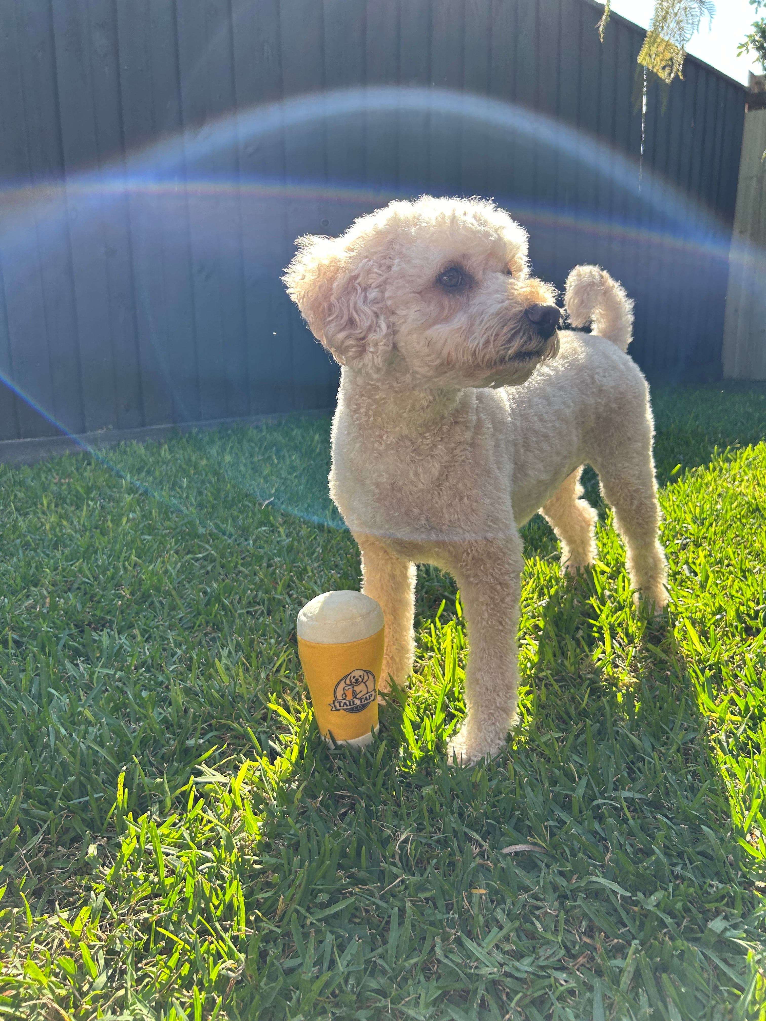 Plush Pot of Beer Squeaky Dog Toy