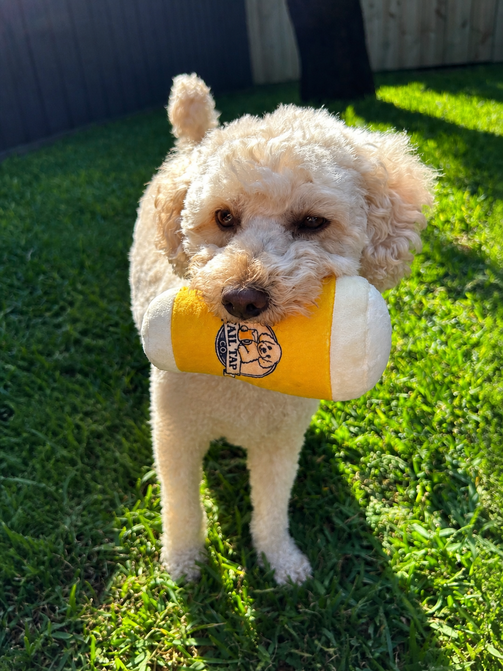 Plush Pot of Beer Squeaky Dog Toy
