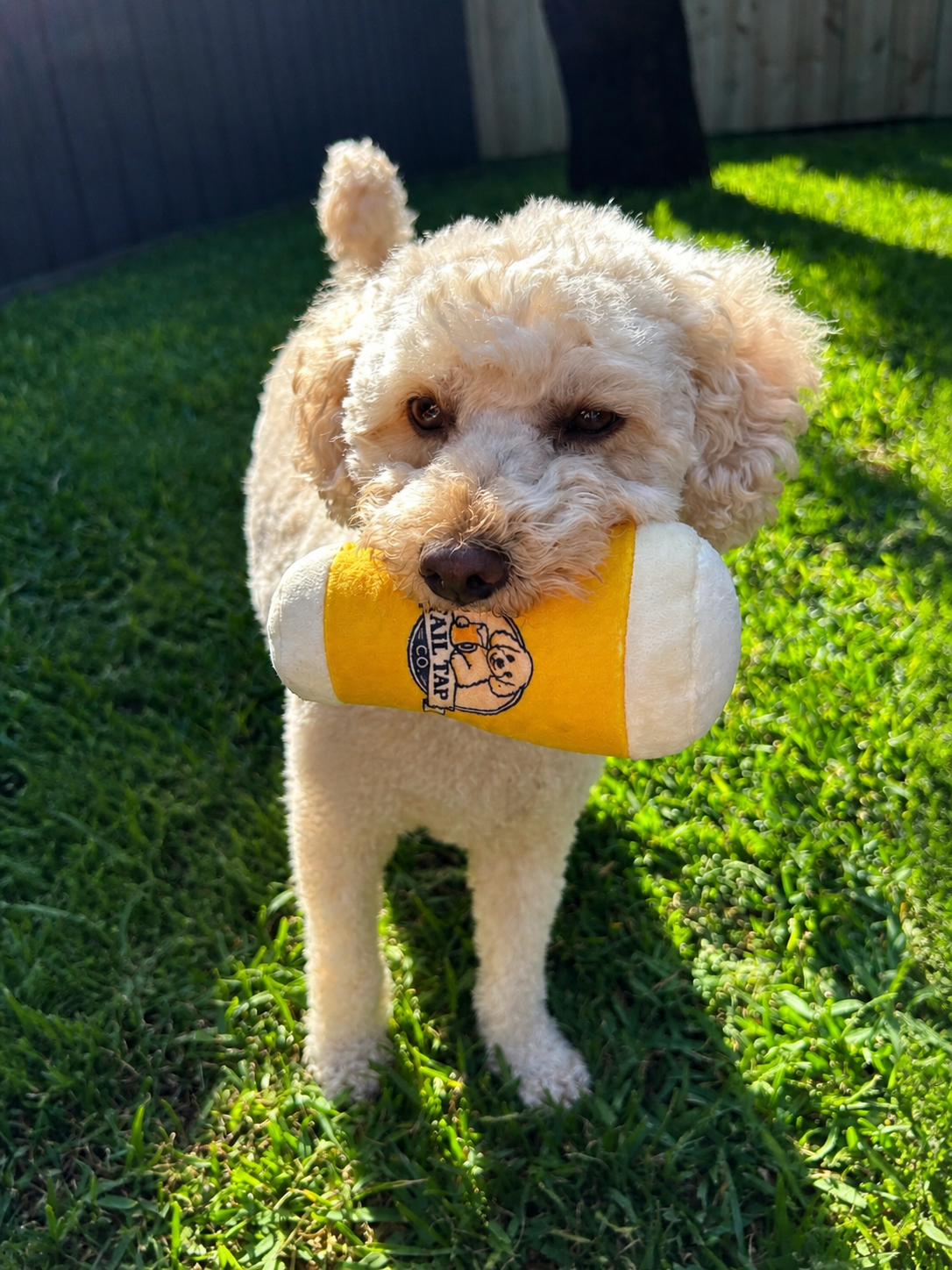 Plush Pot of Beer Squeaky Dog Toy